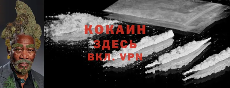 Cocaine 99%  Руза 