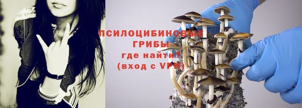 экстази Няндома