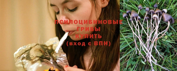экстази Няндома