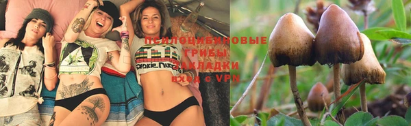 дмт Новодвинск