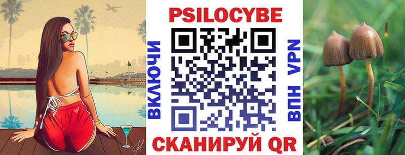 Псилоцибиновые грибы прущие грибы  цена наркотик  Руза 